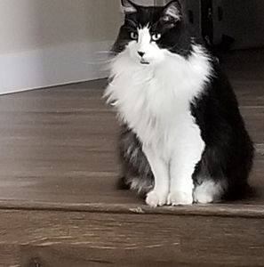 Meet your Posher, Julie